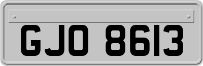GJO8613