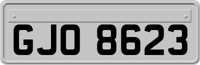 GJO8623