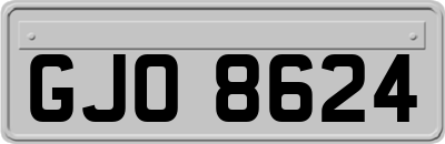 GJO8624