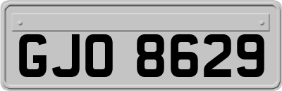 GJO8629