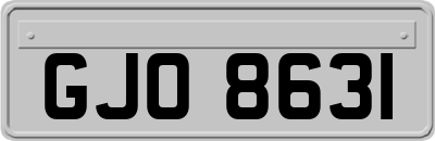 GJO8631