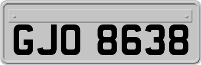 GJO8638