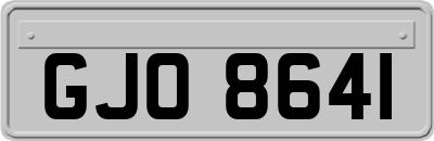 GJO8641