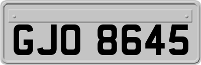 GJO8645