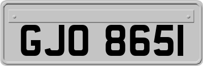 GJO8651