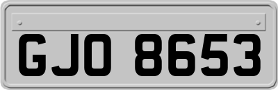 GJO8653