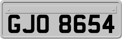 GJO8654