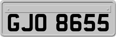GJO8655