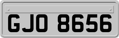 GJO8656