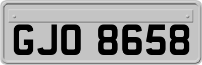 GJO8658