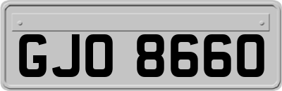 GJO8660