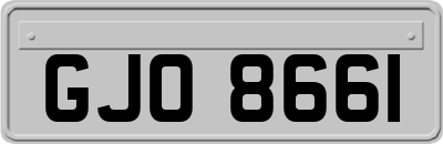 GJO8661