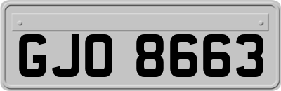 GJO8663