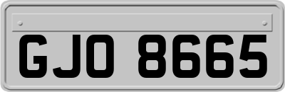 GJO8665