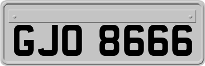 GJO8666