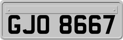 GJO8667