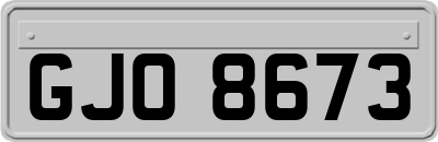 GJO8673