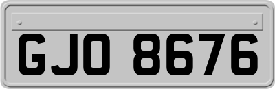 GJO8676