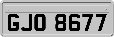 GJO8677