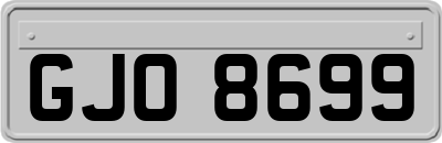 GJO8699