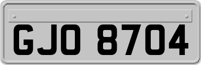 GJO8704