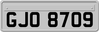 GJO8709