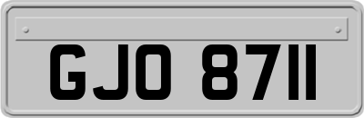 GJO8711