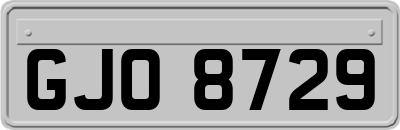 GJO8729