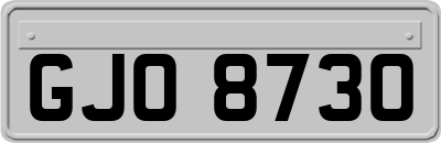 GJO8730