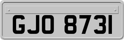 GJO8731