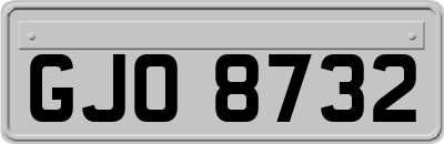 GJO8732