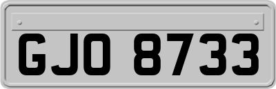 GJO8733