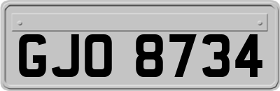 GJO8734