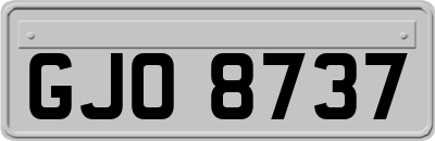 GJO8737