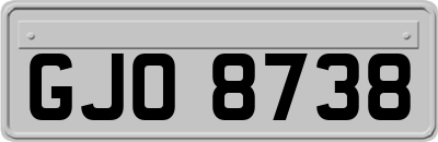 GJO8738
