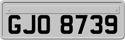 GJO8739