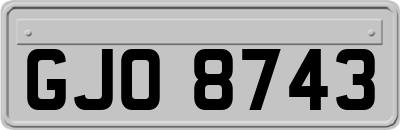 GJO8743