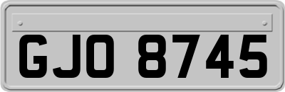 GJO8745