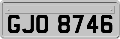 GJO8746