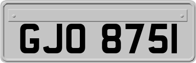 GJO8751
