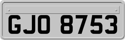 GJO8753