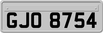 GJO8754