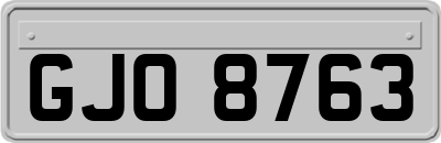 GJO8763
