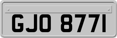 GJO8771