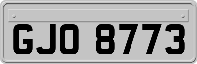 GJO8773