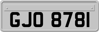 GJO8781