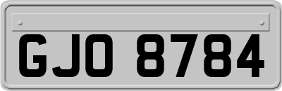GJO8784
