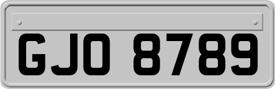 GJO8789