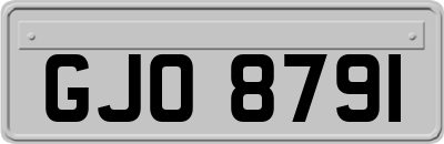 GJO8791