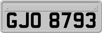 GJO8793